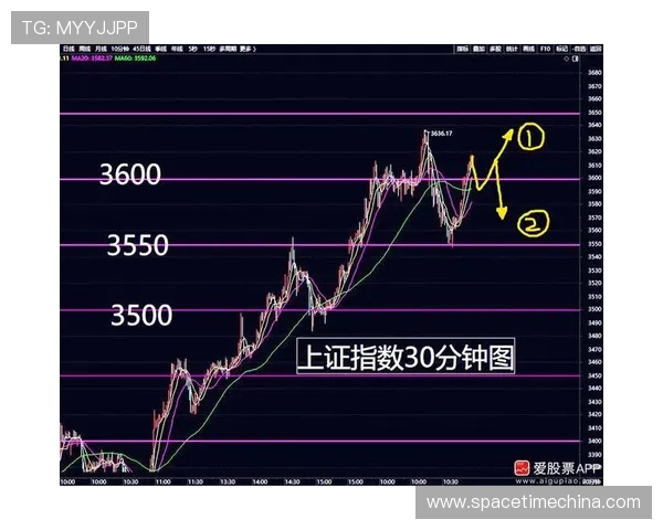 上海篮球队选拔赛战术分析与表现评估全景解读 上海篮球队选拔赛战术分析与表现评估全景解读