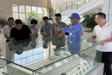 宝鸡市政协代表团一行到访永信贵宾会217集团调查调研